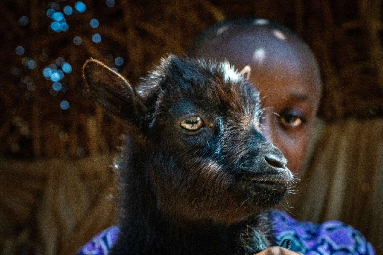 Konyalı Tuba Us Bilir’in kareleri duygulara dokundu 1
